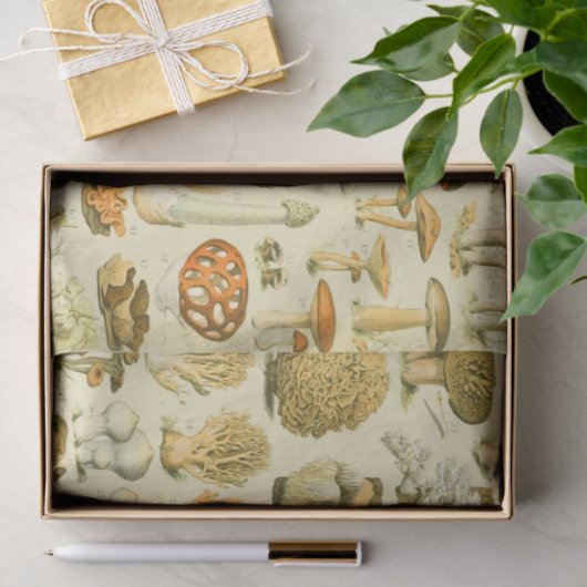 Paddestoel  paddestoel Antiek illustratie Tissuepapier (Geschenk)