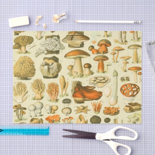 Paddestoel  paddestoel Antiek illustratie Tissuepapier (Craft)