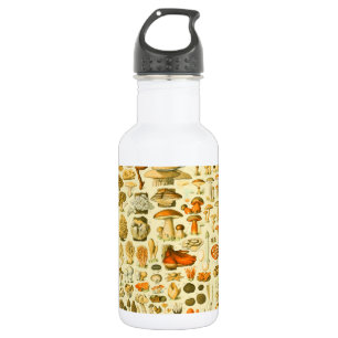 Paddestoel paddestoel Antiek illustratie Waterfles