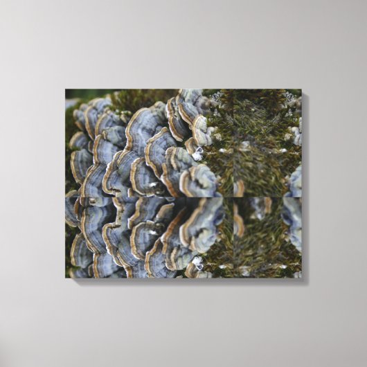 Paddestoelboom foto verpakt canvas afdruk (Voorkant)