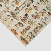 paddestoeldecoupage-tissuepapier tissuepapier (Detail)