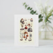 Paddestoelen Briefkaart (Staand voorkant)