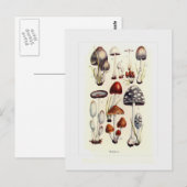 Paddestoelen Briefkaart (Voorkant / Achterkant)