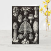 Paddestoelen Ernst Haeckel - Basimycetes Kaart (Gele Bloem)