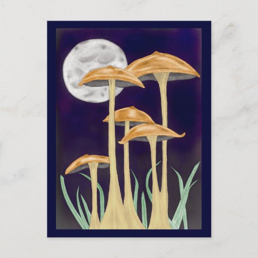 Paddestoelen in Maanlicht Briefkaart (Voorkant)