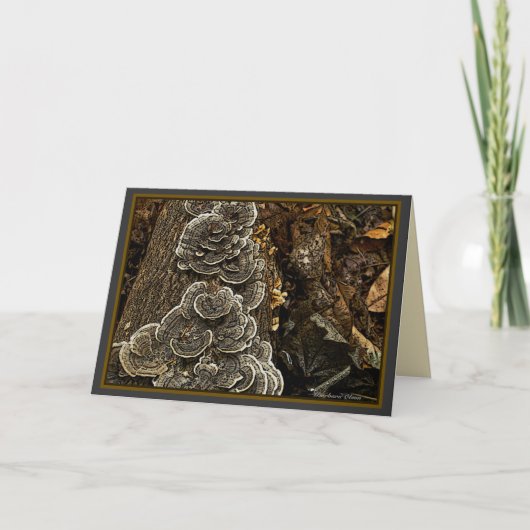 paddestoelen kaart (Voorkant)