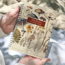 Paddestoelen Natuur Naam en onderwerp