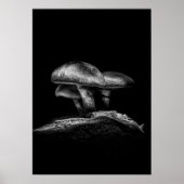 Paddestoelen op een pad nr. 3 poster (Voorkant)