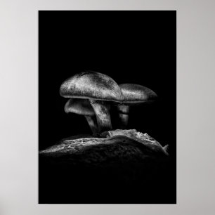 Paddestoelen op een pad nr. 3 poster