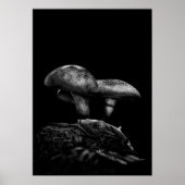 Paddestoelen op een pad nr. 5 poster (Voorkant)