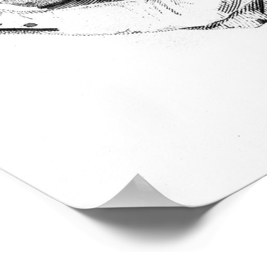 Paddington Tom Jones Poster (Hoek)