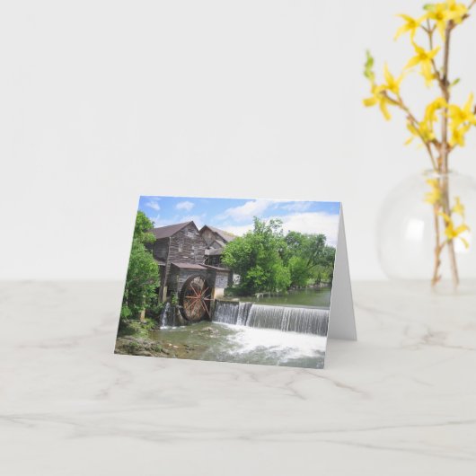 Paddle Wheel Kaart (Gele Bloem)