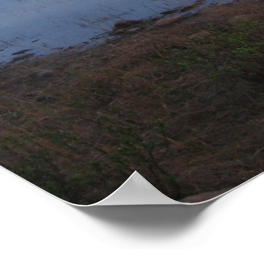 Paddling II Poster (Hoek)