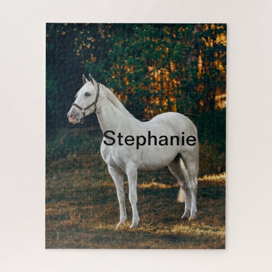 Paddock en paardenliefhebber van boerderijen, dier legpuzzel (Verticaal)