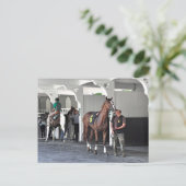 Paddock in Belmont Park Briefkaart (Staand voorkant)