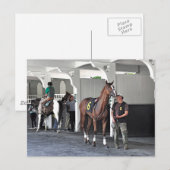 Paddock in Belmont Park Briefkaart (Voorkant / Achterkant)