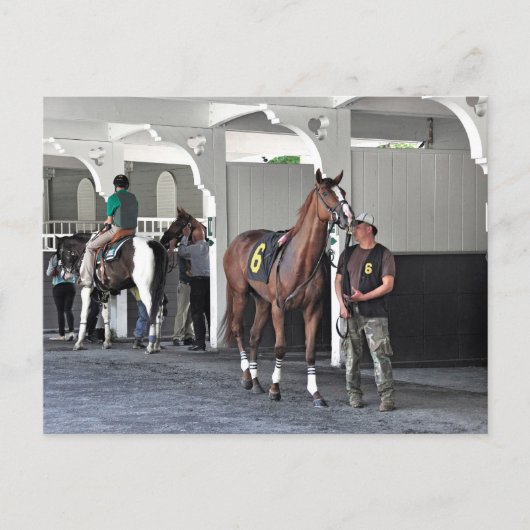 Paddock in Belmont Park Briefkaart (Voorkant)