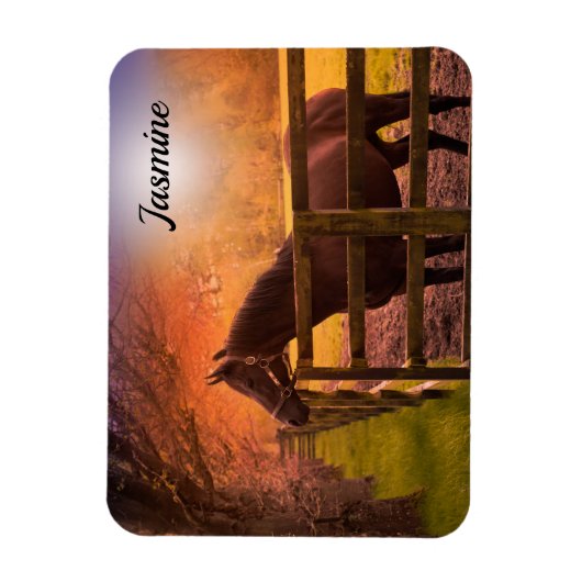 Paddock persoonlijk magneet (Verticaal)