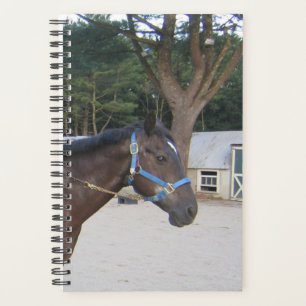 Paddock Stable Paddock Planner