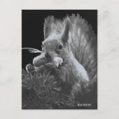 Paddy Cake, Eekhoorn Briefkaart (Voorkant)