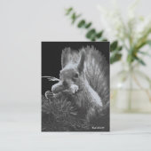 Paddy Cake, Eekhoorn Briefkaart (Staand voorkant)