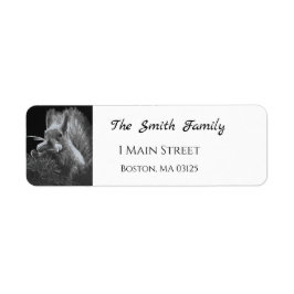 Paddy Cake, Eekhoorn Etiket