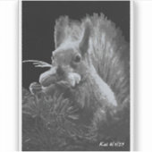 Paddy Cake, Eekhoorn Sticker (Voorkant)