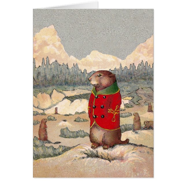 Paddy Paws in Prairie Dog Town (Voorkant)