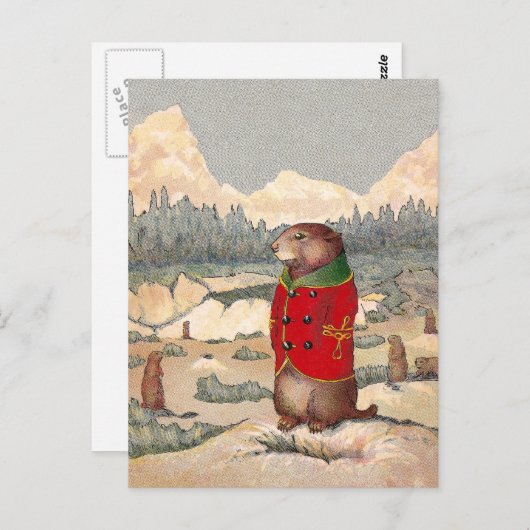 Paddy Paws in Prairie Dog Town Briefkaart (Voorkant / Achterkant)