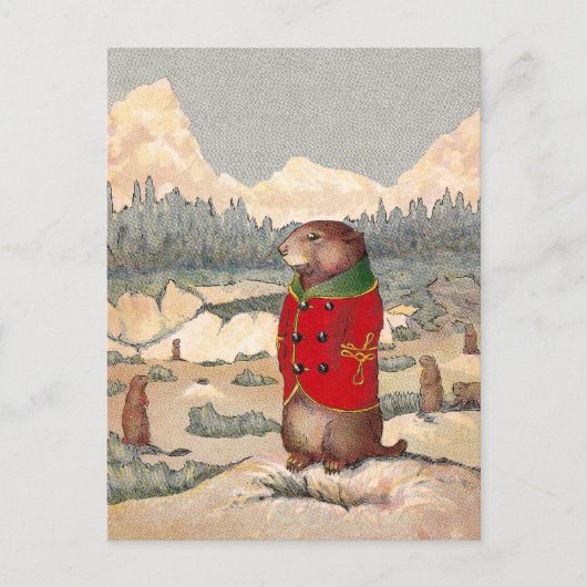 Paddy Paws in Prairie Dog Town Briefkaart (Voorkant)