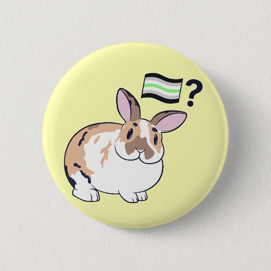 Paddy Pride Badge (Agender) Ronde Button 5,7 Cm (Voorkant)