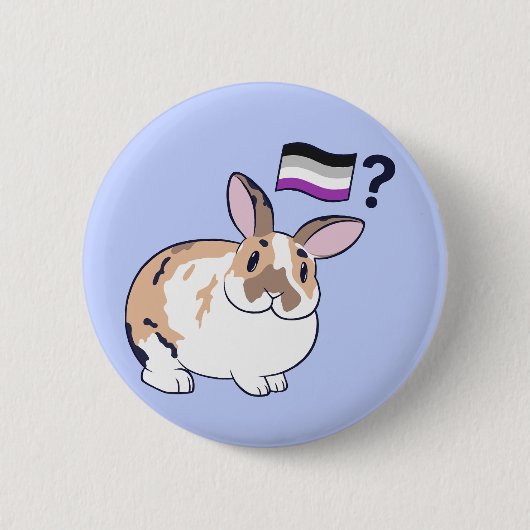 Paddy Pride-badge (aseksueel) Ronde Button 5,7 Cm (Voorkant)
