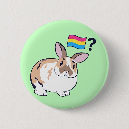 Paddy Pride Badge (Pansexual) Ronde Button 5,7 Cm (Voorkant)