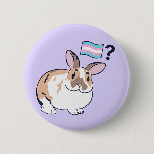 Paddy Pride Badge (Transgender) Ronde Button 5,7 Cm