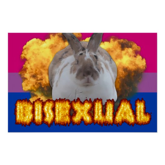 Paddy Pride Poster (biseksueel) (Voorkant)