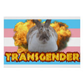 Paddy Pride Poster (Transgender) (Voorkant)