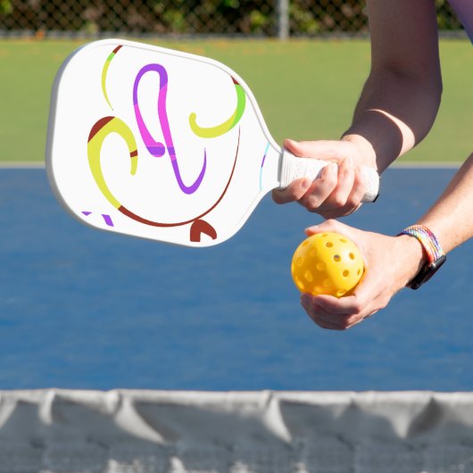 padels pickleball paddle (Insitu)