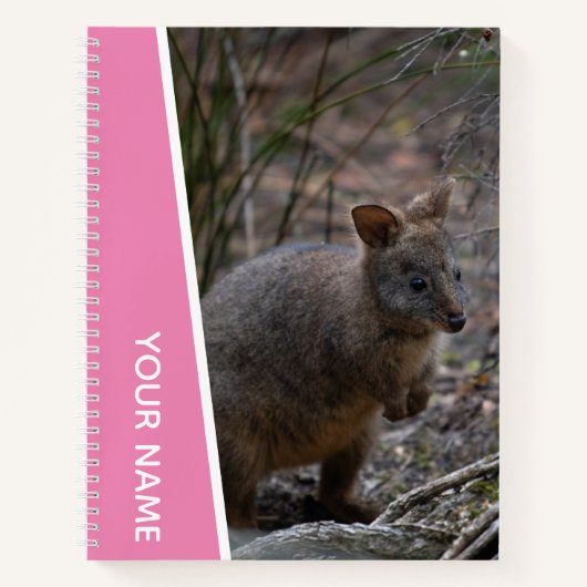 Pademelon, Australië, Knuffeldier, Roze Notitieboek (Voorkant)