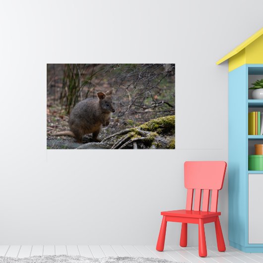 Pademelon Australië, Schattig Dier Foto Poster (Kinderkamer 1)
