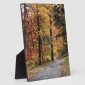 Paden Fotoplaat (Zijkant)