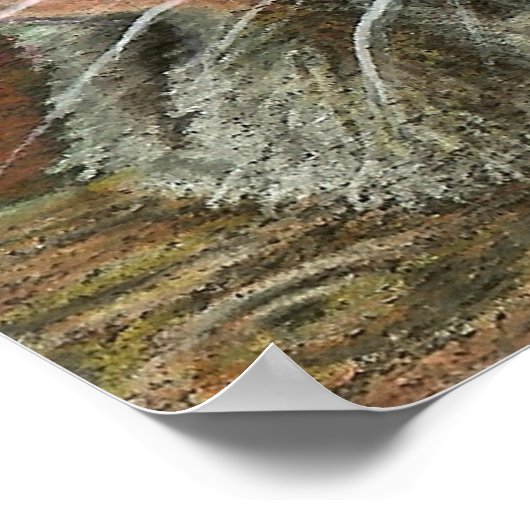 Padie de rat poster (Hoek)