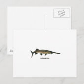 Padlevis Briefkaart (Voorkant / Achterkant)