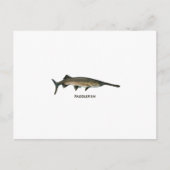 Padlevis Briefkaart (Voorkant)