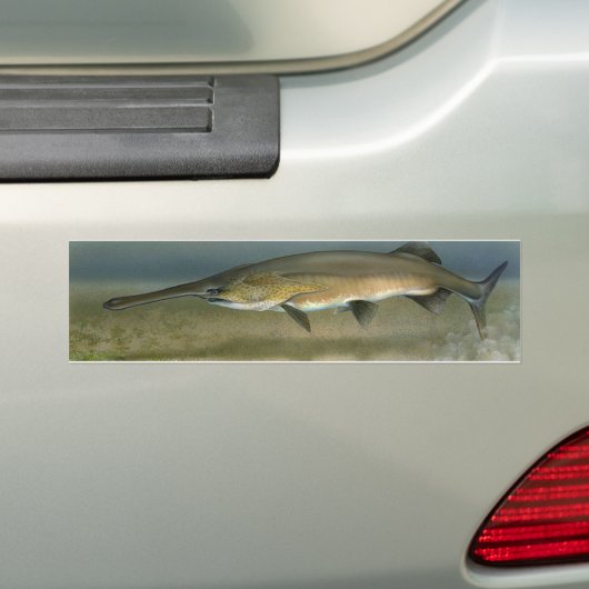 Padlevis Bumpersticker (Op auto)
