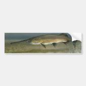 Padlevis Bumpersticker (Voorkant)