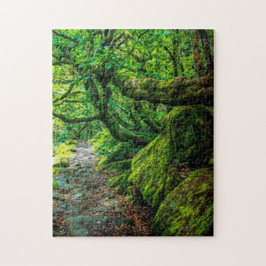 Padley Gorge, Debryshire Legpuzzel (Verticaal)