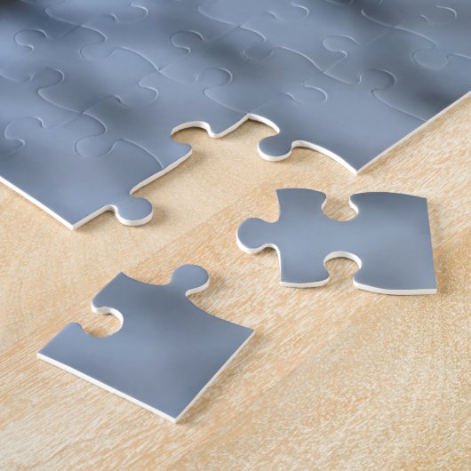 Padlocks Riverside Park Hudson River New York Legpuzzel (Zijkant)