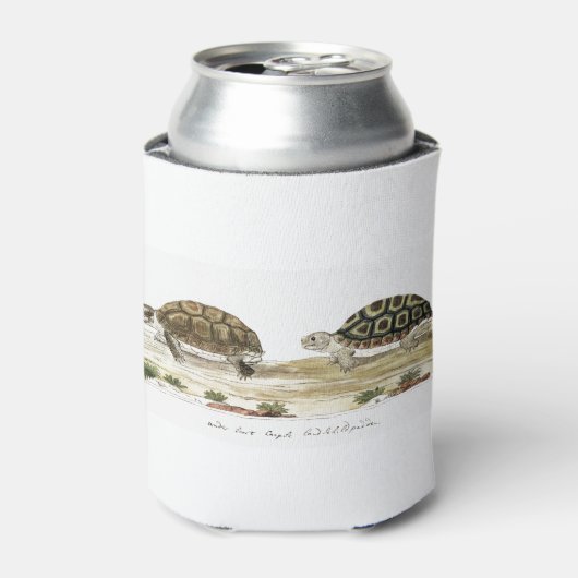 Padloper Tortoise Blikjeskoeler (Blikje Voorkant)