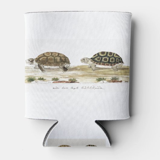 Padloper Tortoise Blikjeskoeler (Voorkant)