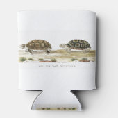 Padloper Tortoise Blikjeskoeler (Achterkant)